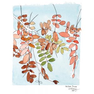Autumn-Rowan